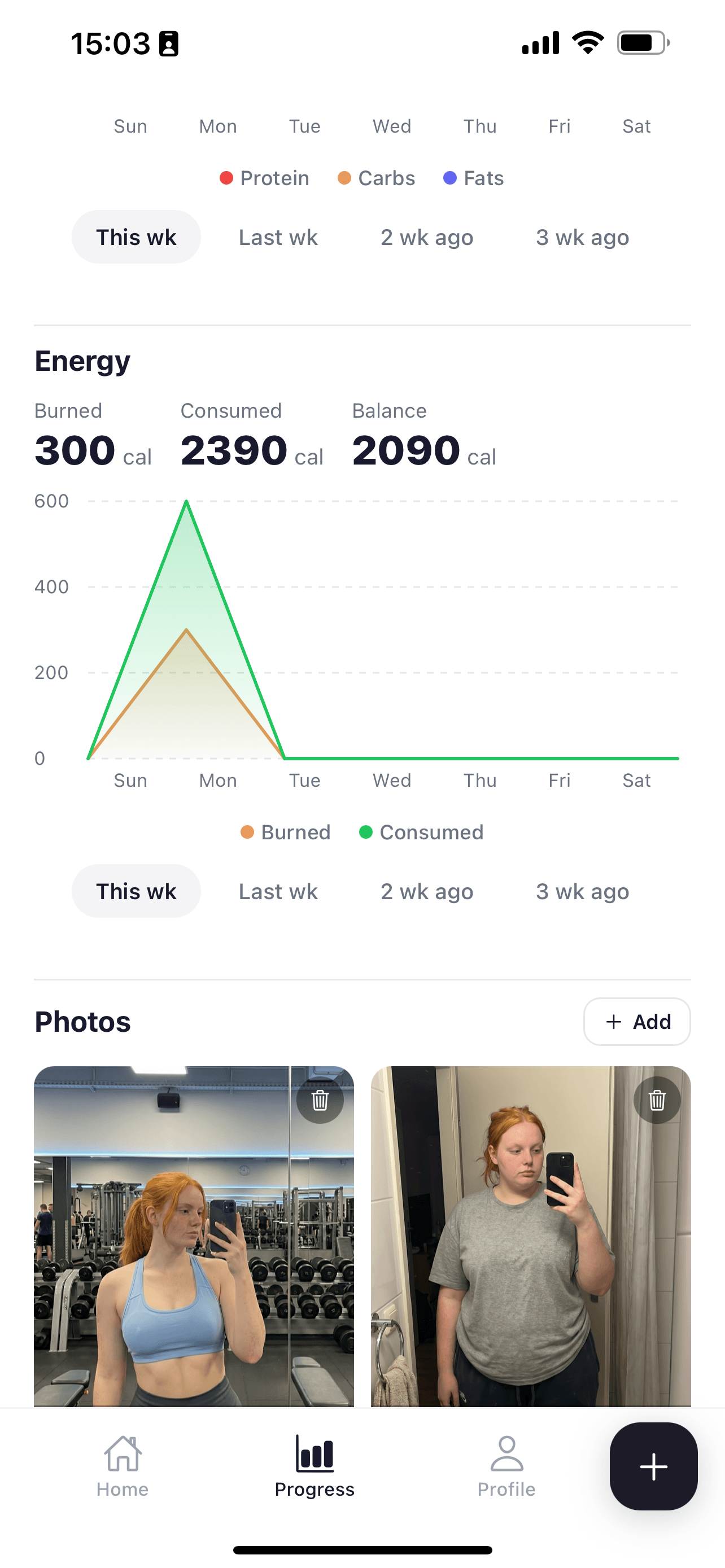 SnapCal progress interface